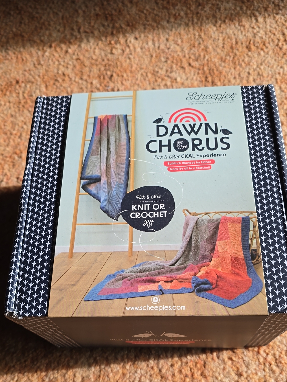 Dawn Chorus Knit or Crochet Kit - Multicolor Blanket